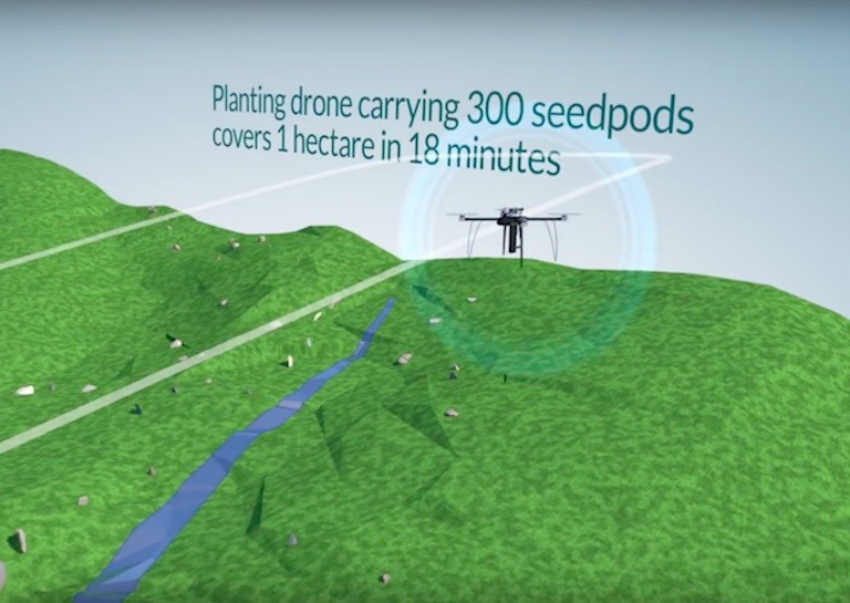 These Drones Help Fight Deforestation by Planting 100,000 Trees per Day