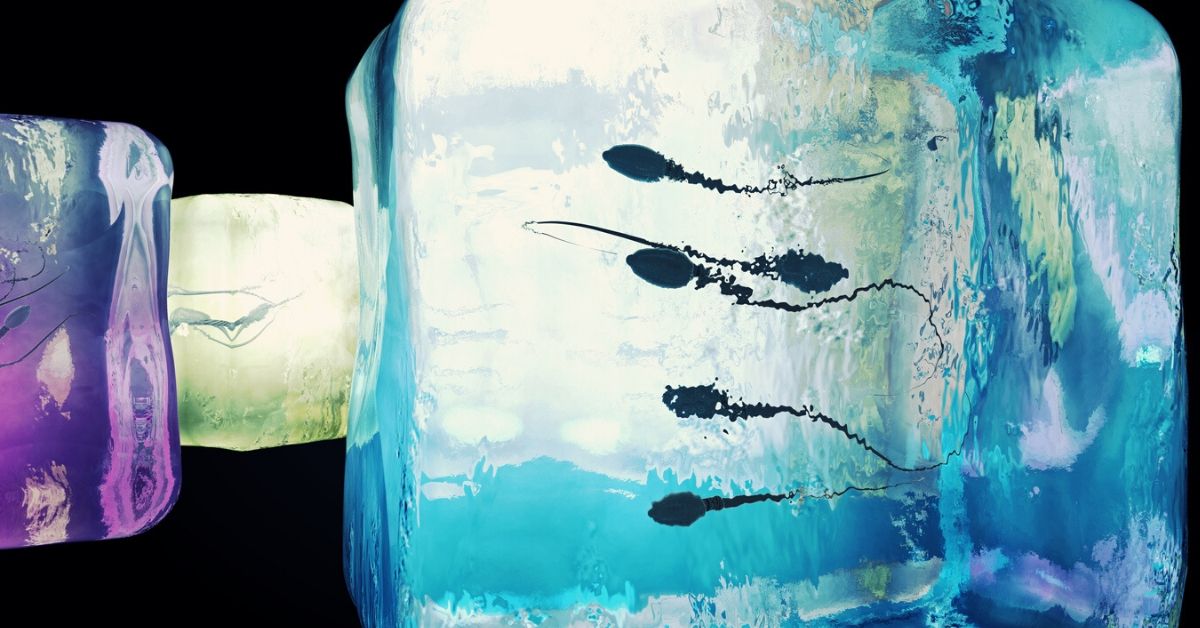 World's First LabGrown Human Sperm Stem Cells Created