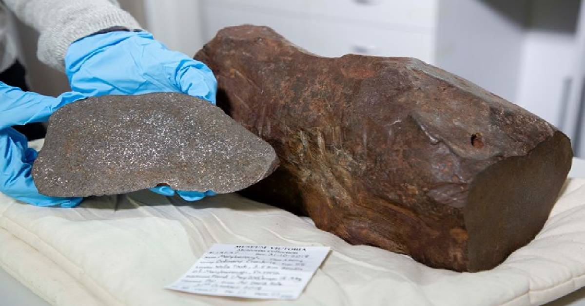 Man Discovers Unbreakable Rock He Kept For Years is a Rare 4-Billion ...