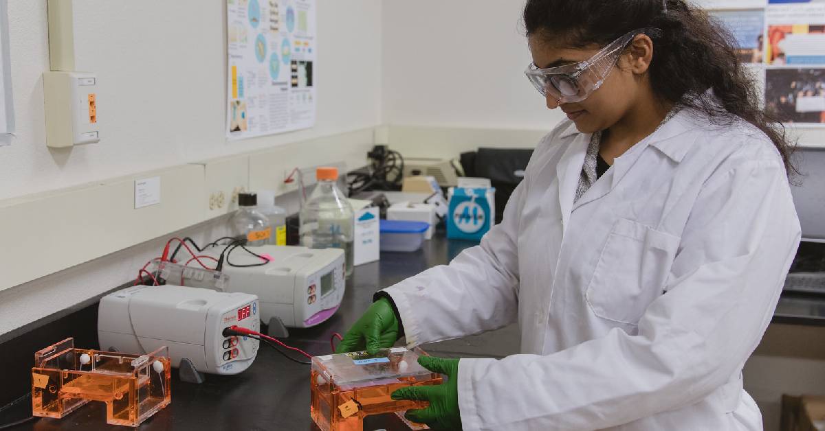 Learn More about the Field of Biomedical Engineering