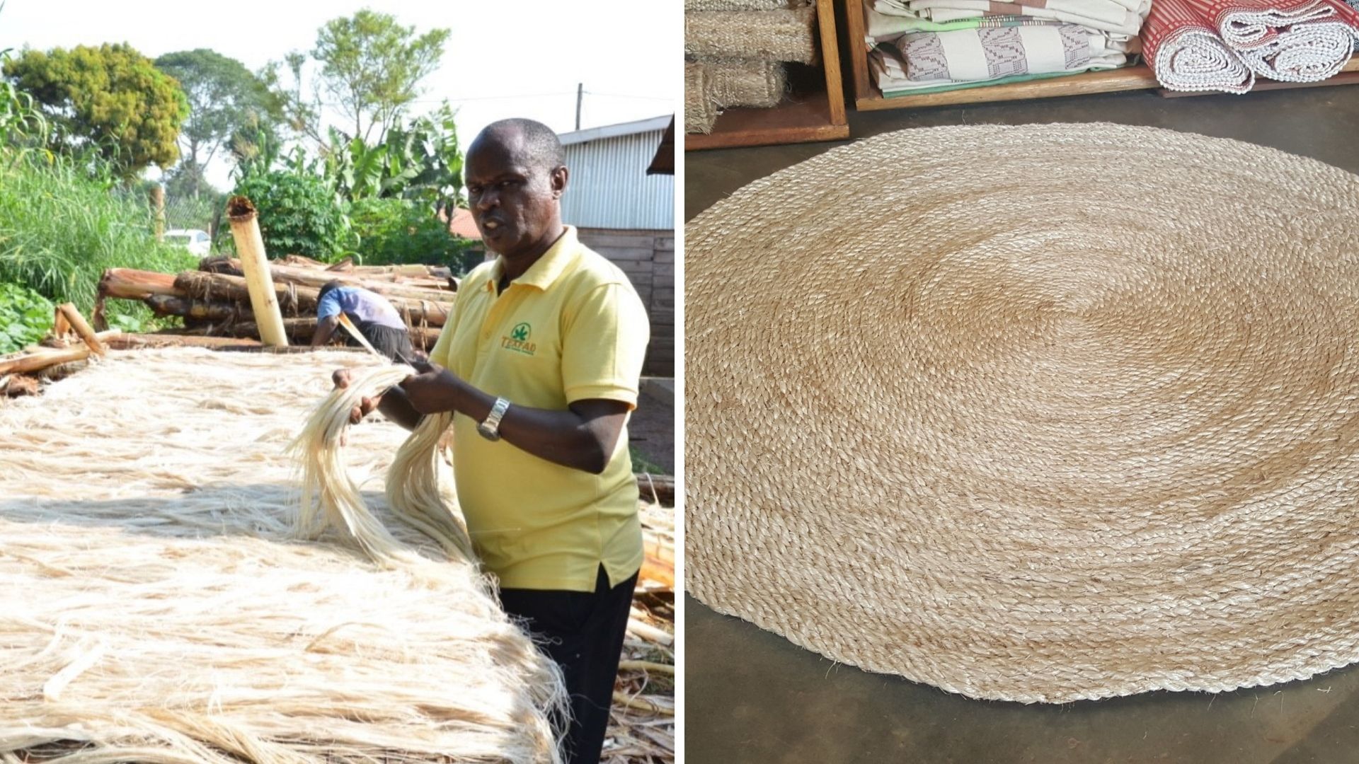 Uganda Startup Makes Carpets, Hair Extensions Out of Banana IE