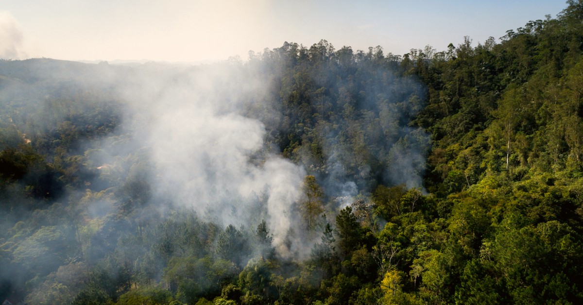 Burning Amazon Smoke Has Turned São Paulo's Skies Dark during the Day