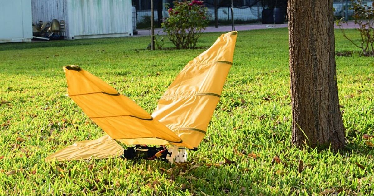 Bird-Inspired Robots Fly Autonomously to Remote Spots | IE