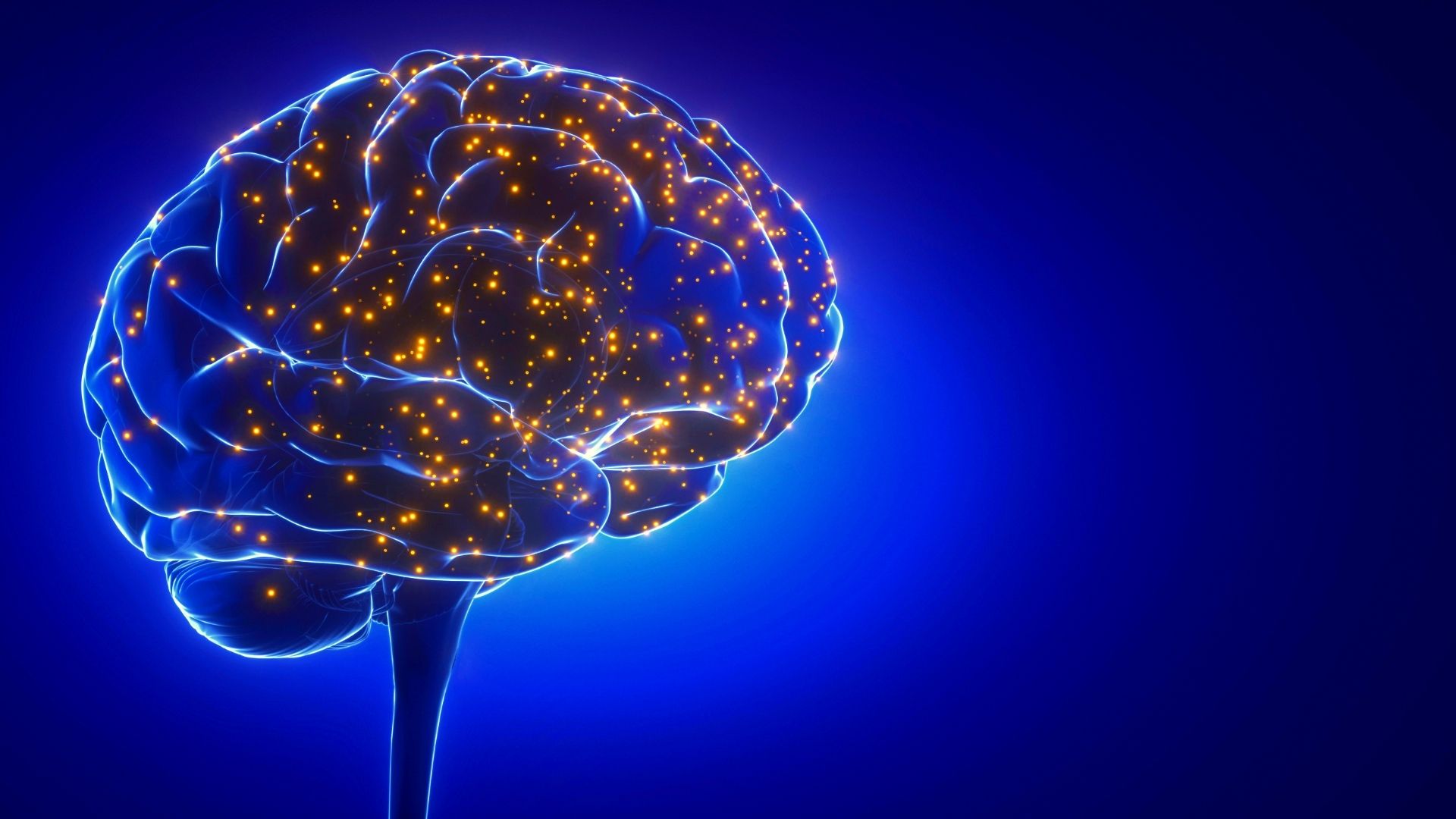 Stimulating Your Brain With Can Help You Remember Things