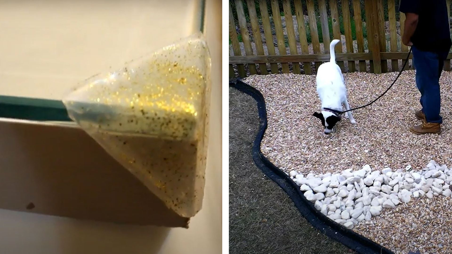 Best DIY ideas to make your home pet friendly