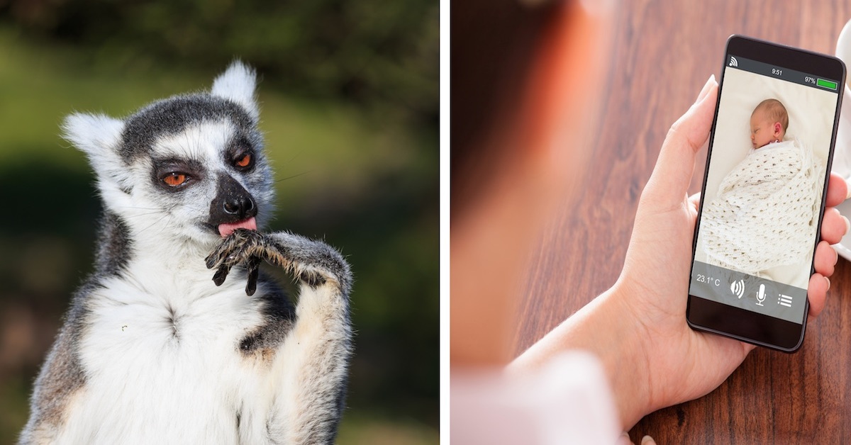 9 Cool Uses for Old Smartphones You Have Laying around Your Home