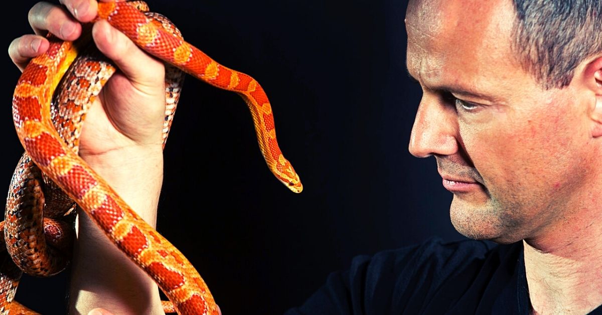 'Garbage Disposal' Mutation Shifting Snake Colors? IE